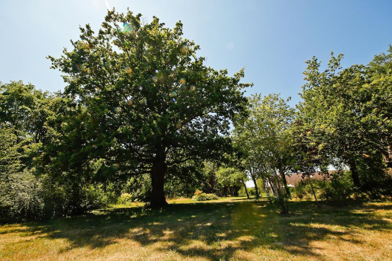 Domaine La Faix, Gite La Chouette Saint-Plaisir Exterior foto