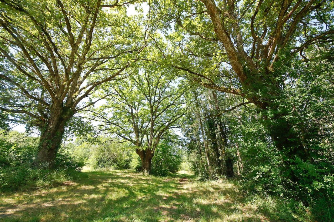 Domaine La Faix, Gite La Chouette Saint-Plaisir Exterior foto